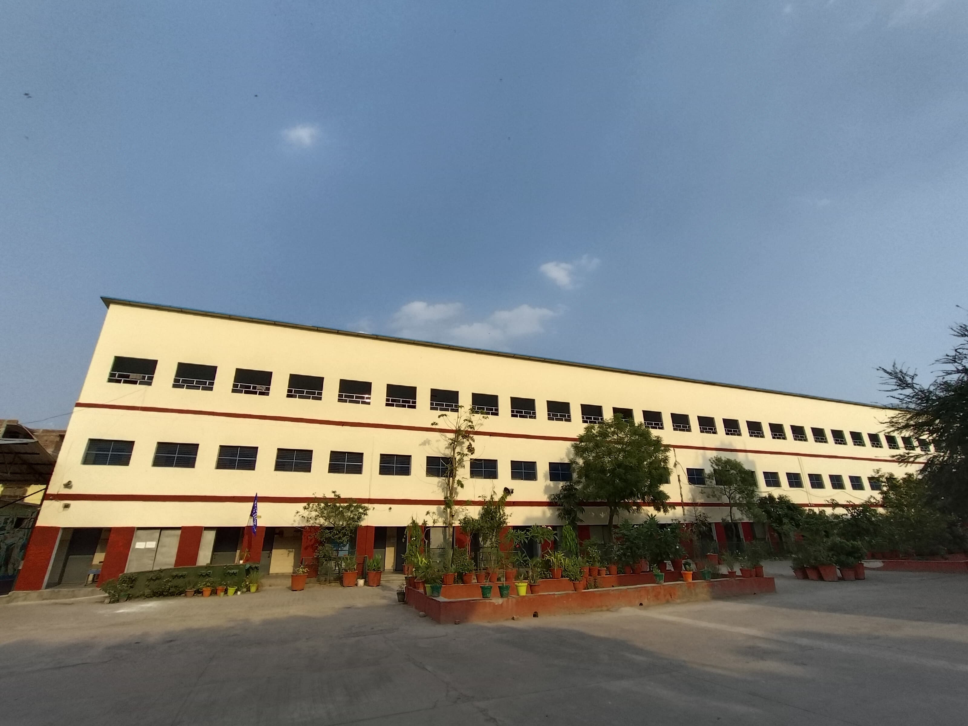 About D P Associates
